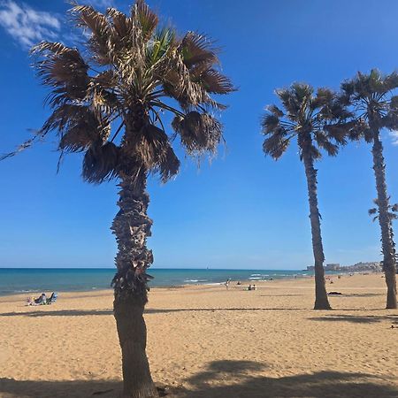 Lovely Apartment Near The Beach In Sunny La Mata トレビエハ エクステリア 写真
