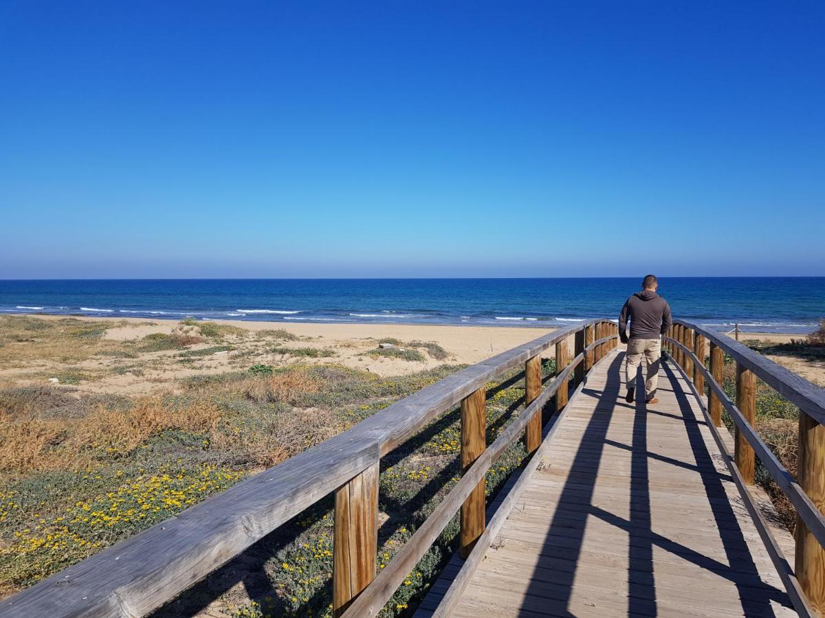 Lovely Apartment Near The Beach In Sunny La Mata トレビエハ エクステリア 写真