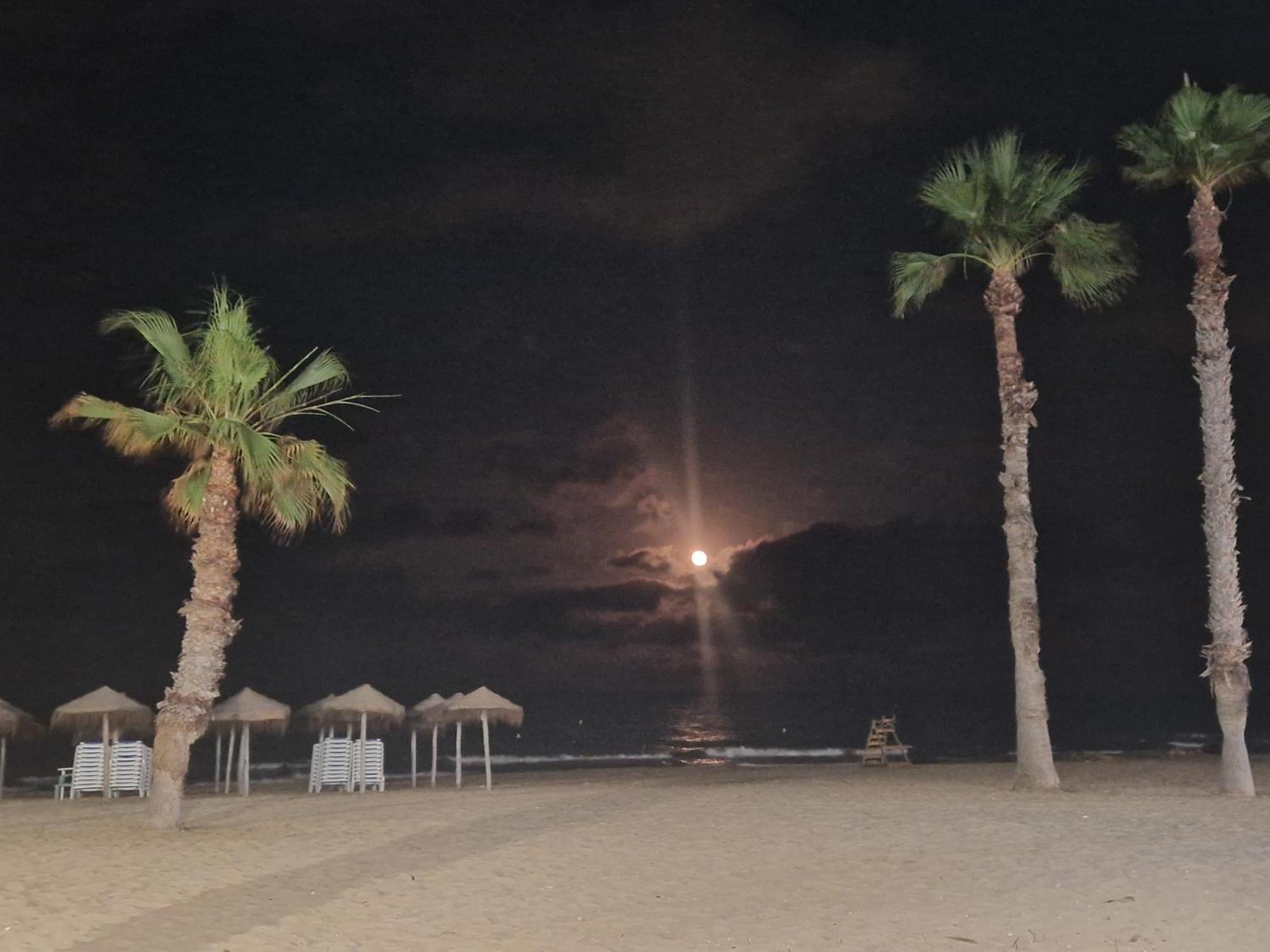 Lovely Apartment Near The Beach In Sunny La Mata トレビエハ エクステリア 写真