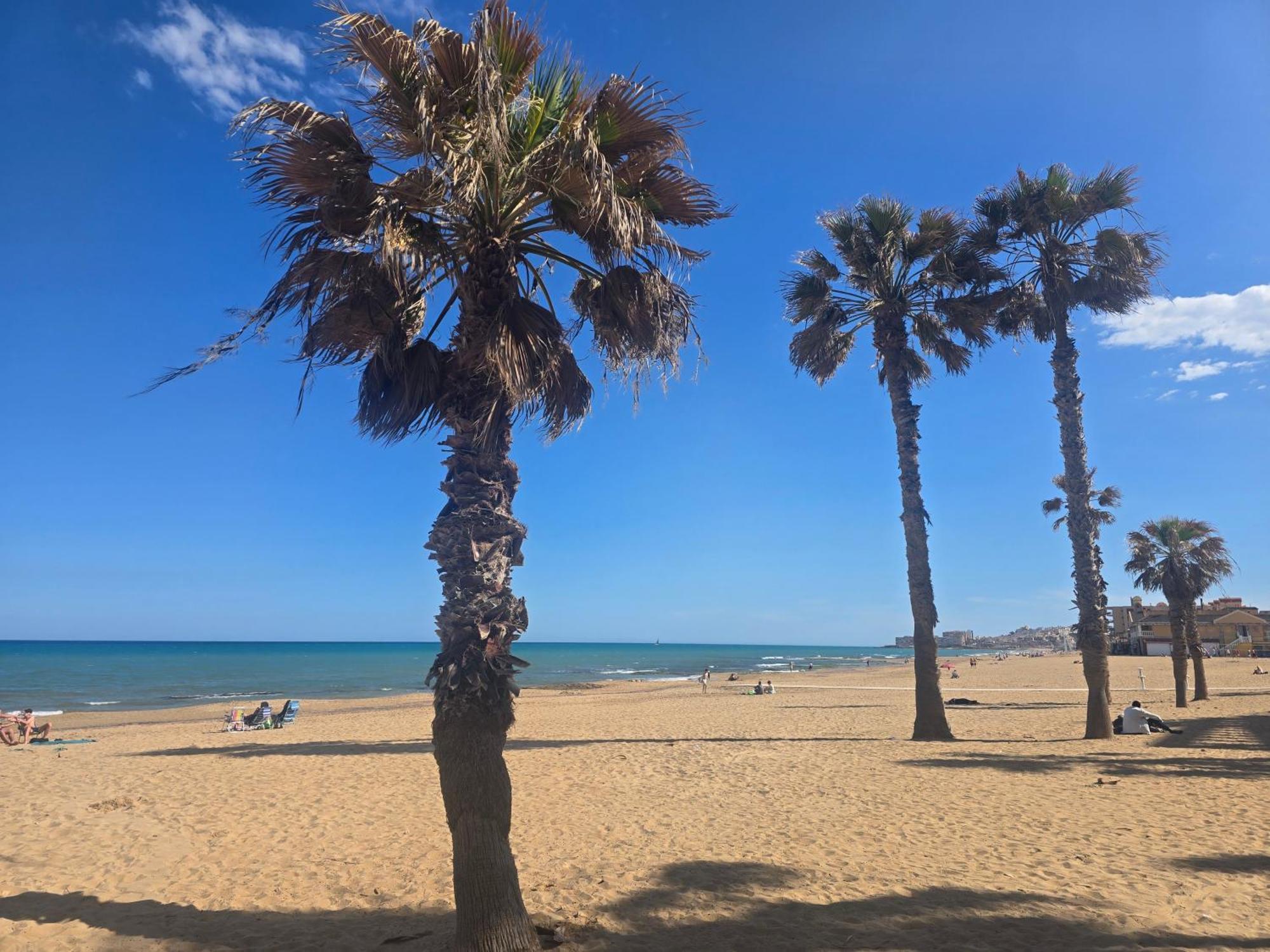 Lovely Apartment Near The Beach In Sunny La Mata トレビエハ エクステリア 写真